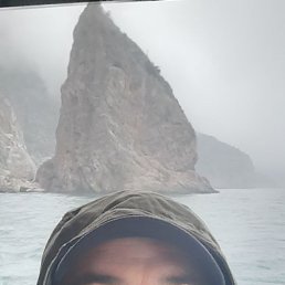 , 41, 