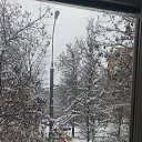 ���� �������, ������, 50 ��� - ��������� 26 ������ 2026
