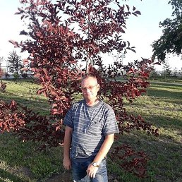 ��������, �������, 51 ���