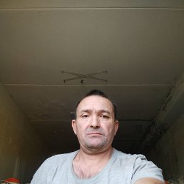  , 41, 