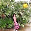  , -, 35  -  10  2025    