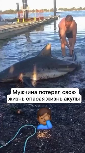     ... - 2