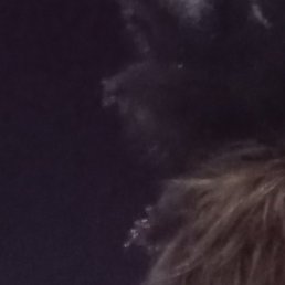 ������, ������, 25 ���