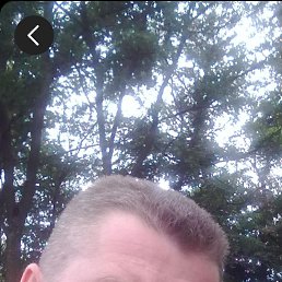, 42, 