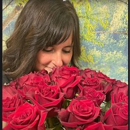 �����, ���������, 41 ���