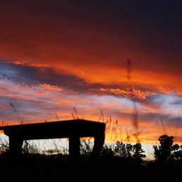 �����, �����, 33 ����