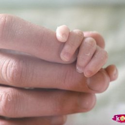 ������, ������������, 43 ����