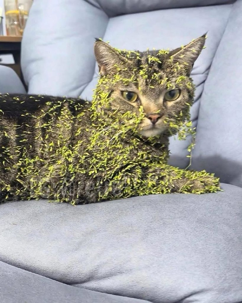 � ���� ������ �a �����, � �ep���c� �e��� :3 - 2