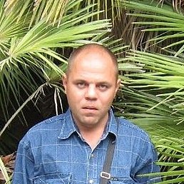 �������, ������, 53 ����