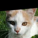 ���� ������, �����, 22 ���� - ��������� 7 ������ 2024 � ������ ���� ����������