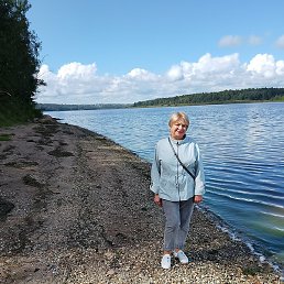 �����, ���������, 66 ���