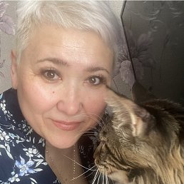 , 55, 