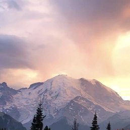 ���� ������, ������, 47 ��� - ��������� 25 ����� 2026