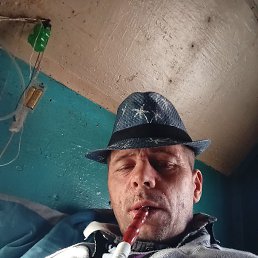 �����, �����������, 38 ���