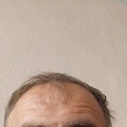  , 44, 