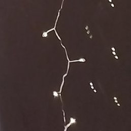 �������, �������, 48 ���