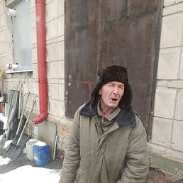 , 37, 