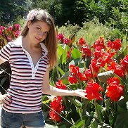 ����, 29 ���, ������