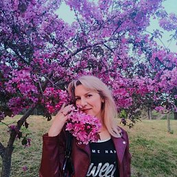 ����, �����������