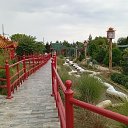 ���� �����, ������ - ��������� 24 ������� 2024 � ������ ���� ����������