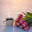 ���� Randar, ������� - ��������� 13 ������� 2026 � ������ ������ ��������