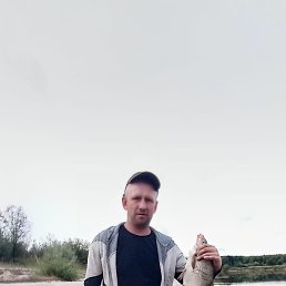 , , 41 