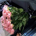 ���� ����������, ������ - ��������� 12 ������ 2026
