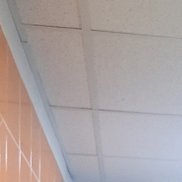 ������, 41 ���, ����