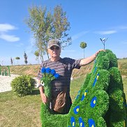 ������, 65 ���, ������