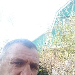 , 49, 