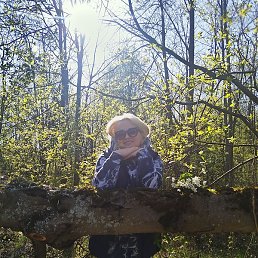 �����, �����-���������, 49 ���