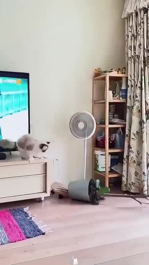 � ������ ������ �� ������ �������! - 2