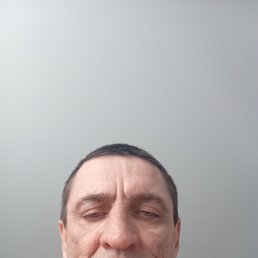 , 48, 