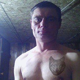 ������, �������, 43 ����