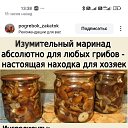 ���� ����, �����, 72 ���� - ��������� 21 ���� 2025 � ������ ���� ����������