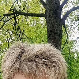 , 56, 