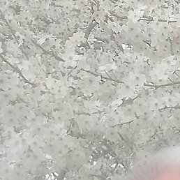 ���������, ���������, 61 ���