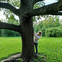 ���� �����, ���������, 53 ���� - ��������� 8 ����� 2026