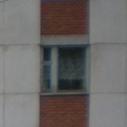 �����, ���