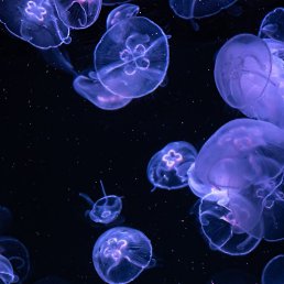 ���� ������, ������, 54 ���� - ��������� 6 ������ 2026