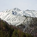 ���� ��������, ����-���, 42 ���� - ��������� 8 ��� 2025 � ������ ������ ��������
