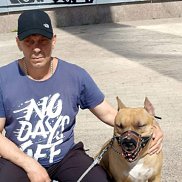 �����, 54 ����, ����