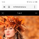 ���� ����, �����������, 50 ��� - ��������� 11 ������ 2026 � ������ ���� ����������