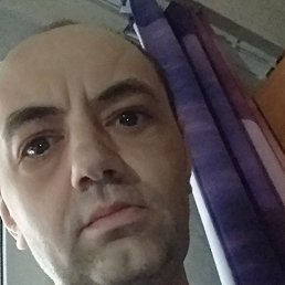���� ˸��, �����������, 42 ���� - ��������� 8 �������� 2026