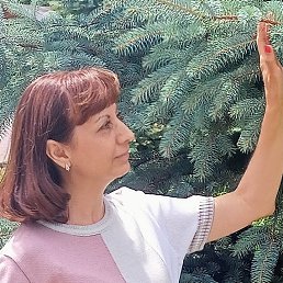 , 54, 