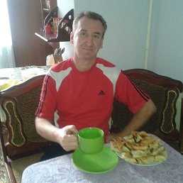 , 53, 
