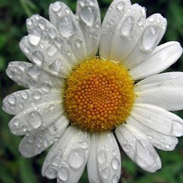 ���� Tina, ������, 48 ��� - ��������� 15 ������� 2025