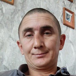 ������, �������, 36 ���