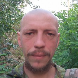 ����, ���������, 40 ���