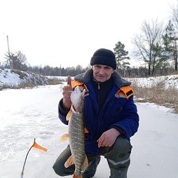 ������, ��������, 48 ���